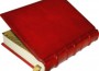 В Березниках спасли птицу из Красной книги .